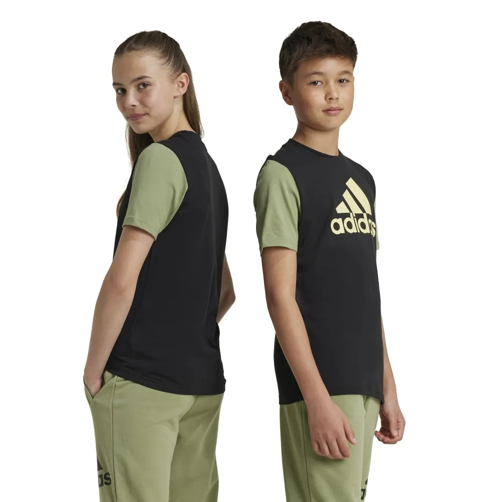 Adidas Kids Essentials Big Logo Colour Block T-Shirt