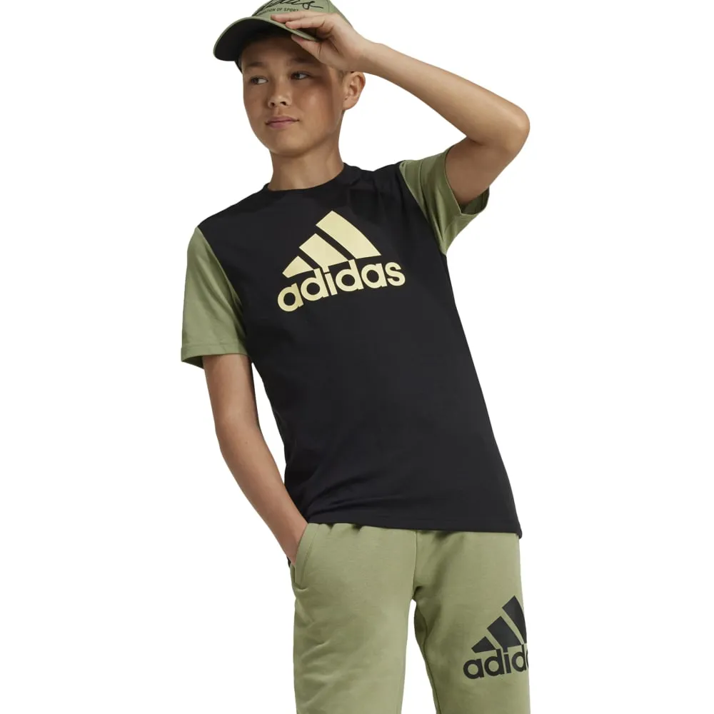 Adidas Kids Essentials Big Logo Colour Block T-Shirt
