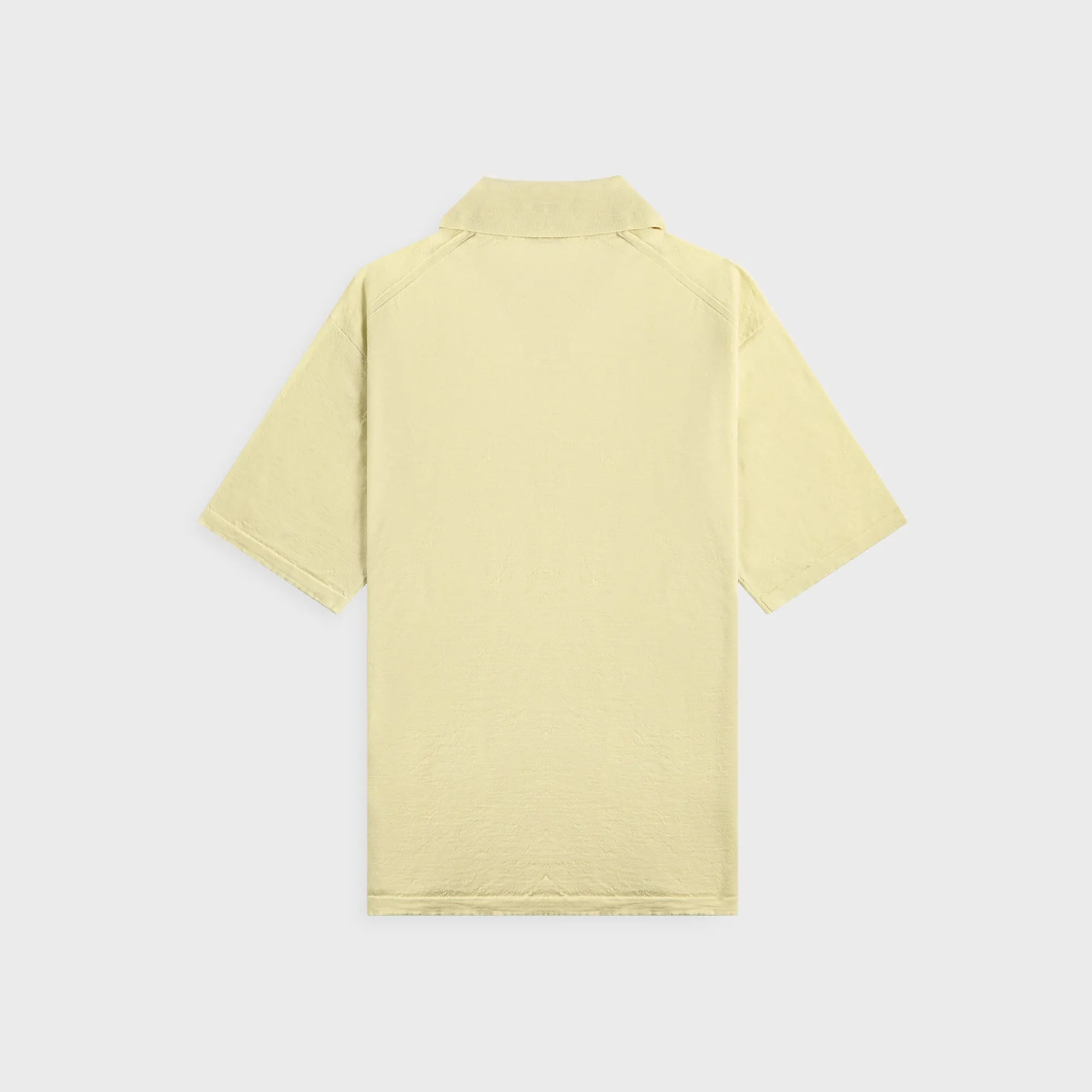Auralee Product Dyed Wool Knit Polo - Light Pistahio