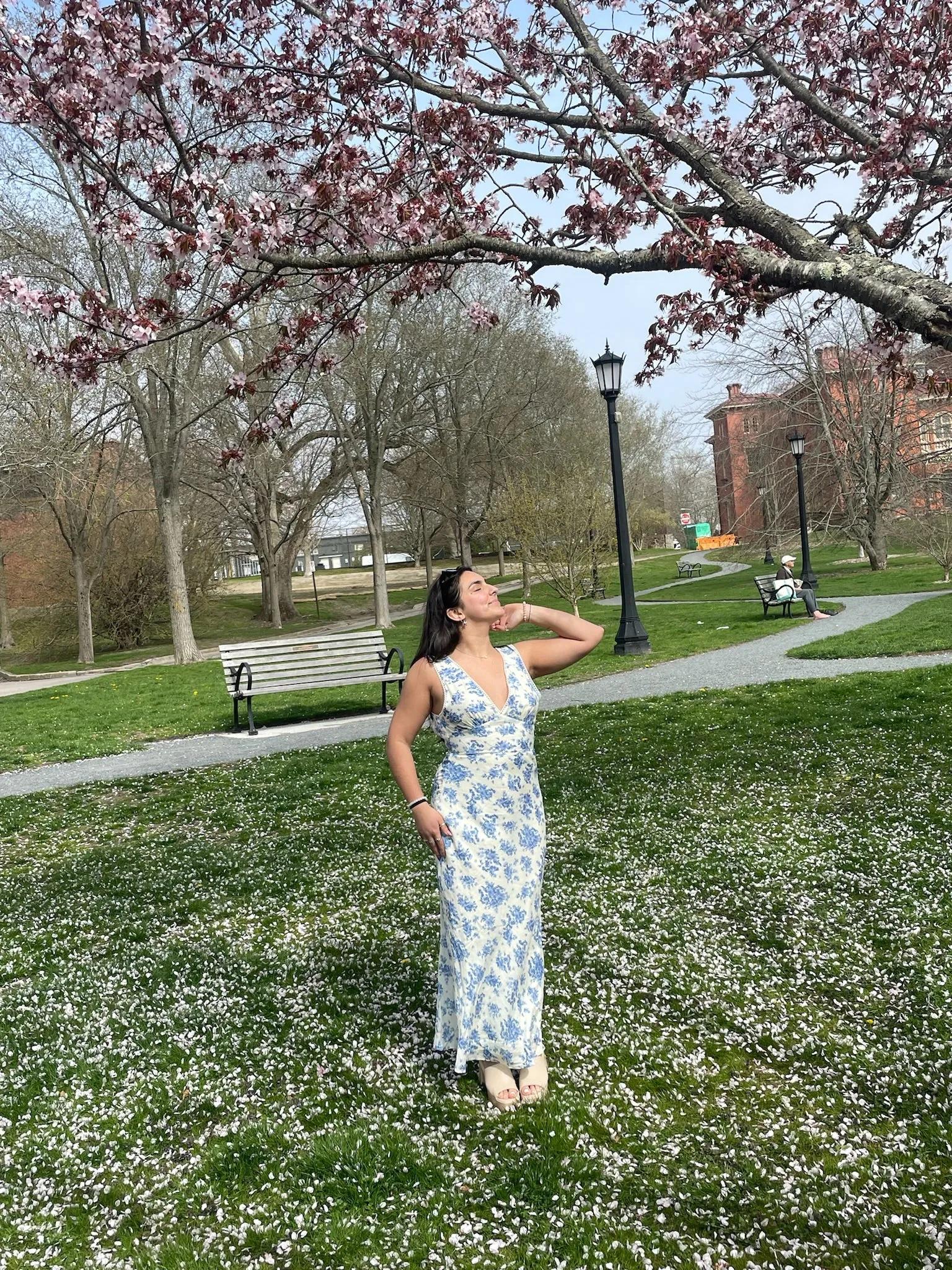Azalea Maxi Dress