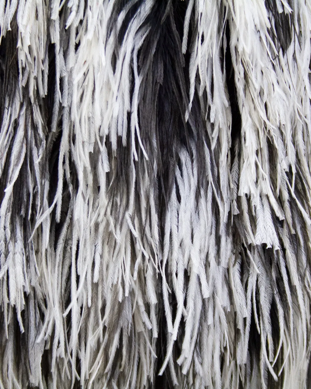 Black and White Ostrich Feather Skirt