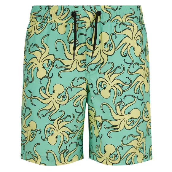 Boy's Terrance Boardshorts