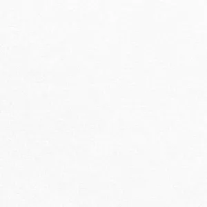 Brussels Washer - White - $14.25/ Yard