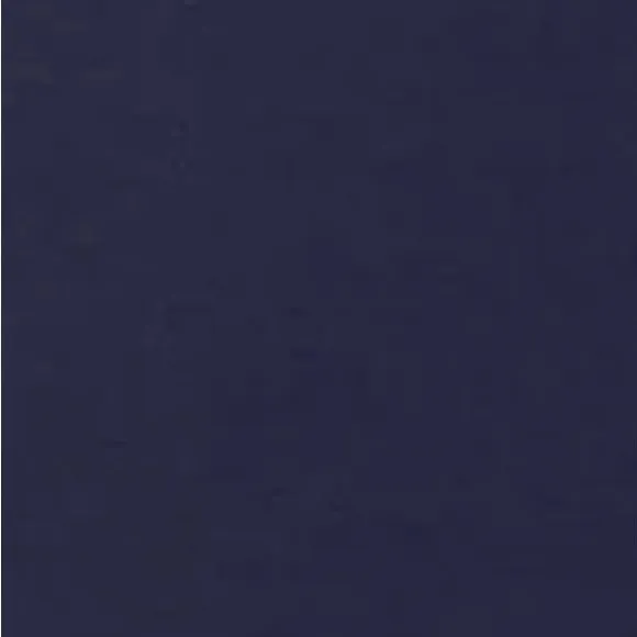 CHARTER CLUB Womens Navy Knee Length Pencil Skirt Size 2 Petite
