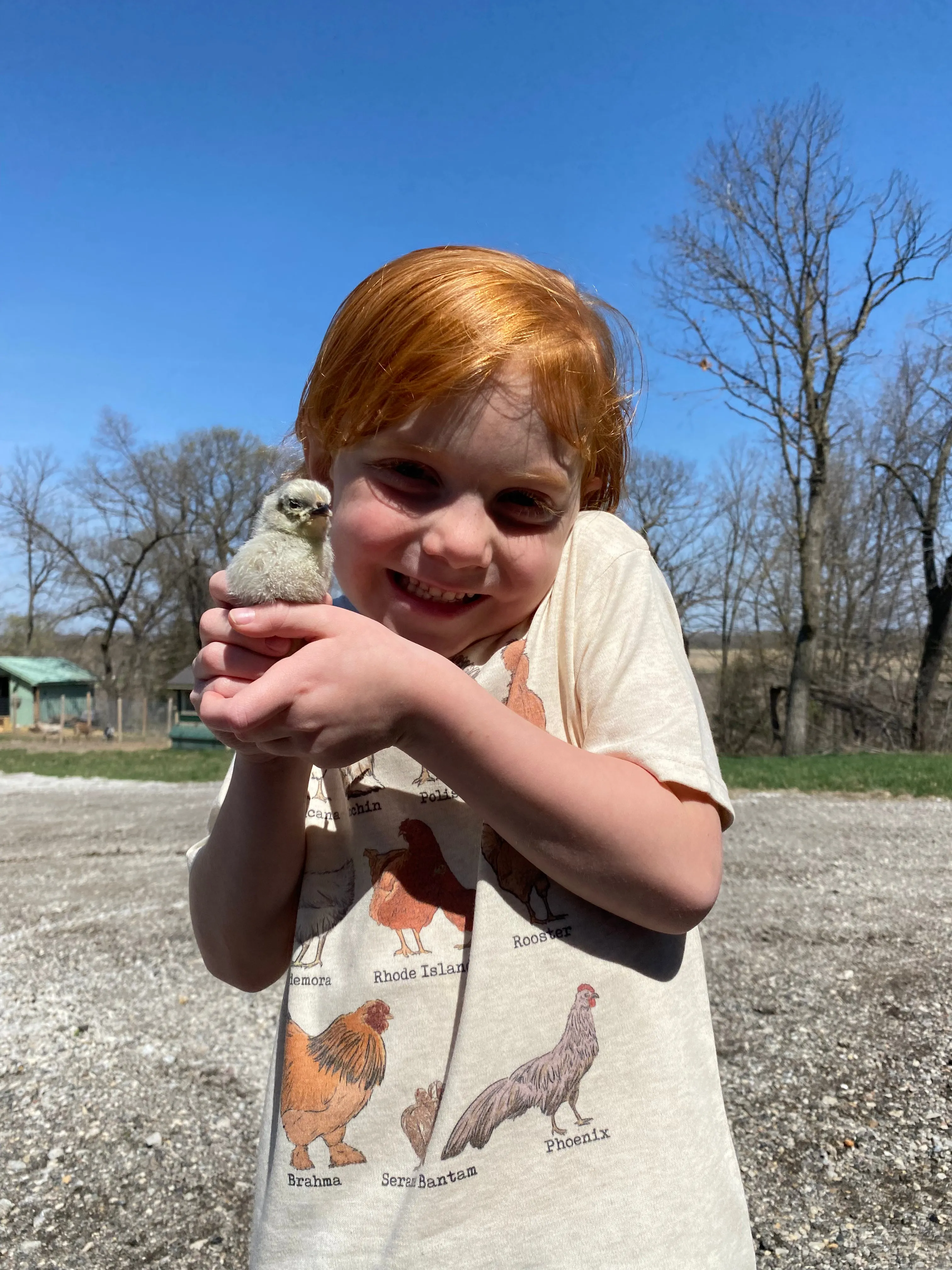 Chicken Breeds Homestead Farm Toddler Youth Tee
