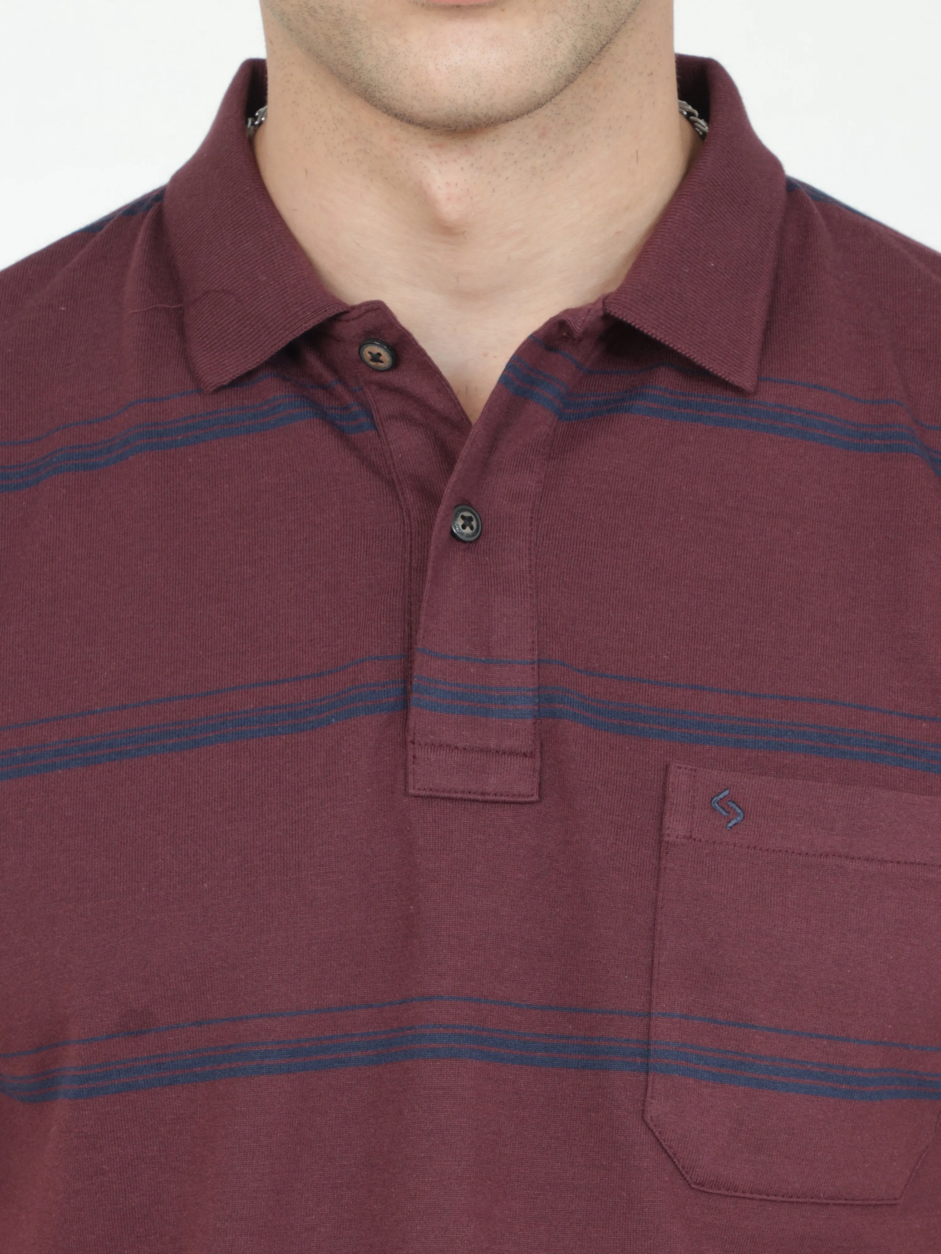 Classic Polo Mens Casual Burgundy Striped Cotton T-Shirt | F-AVON - 110 A AF P