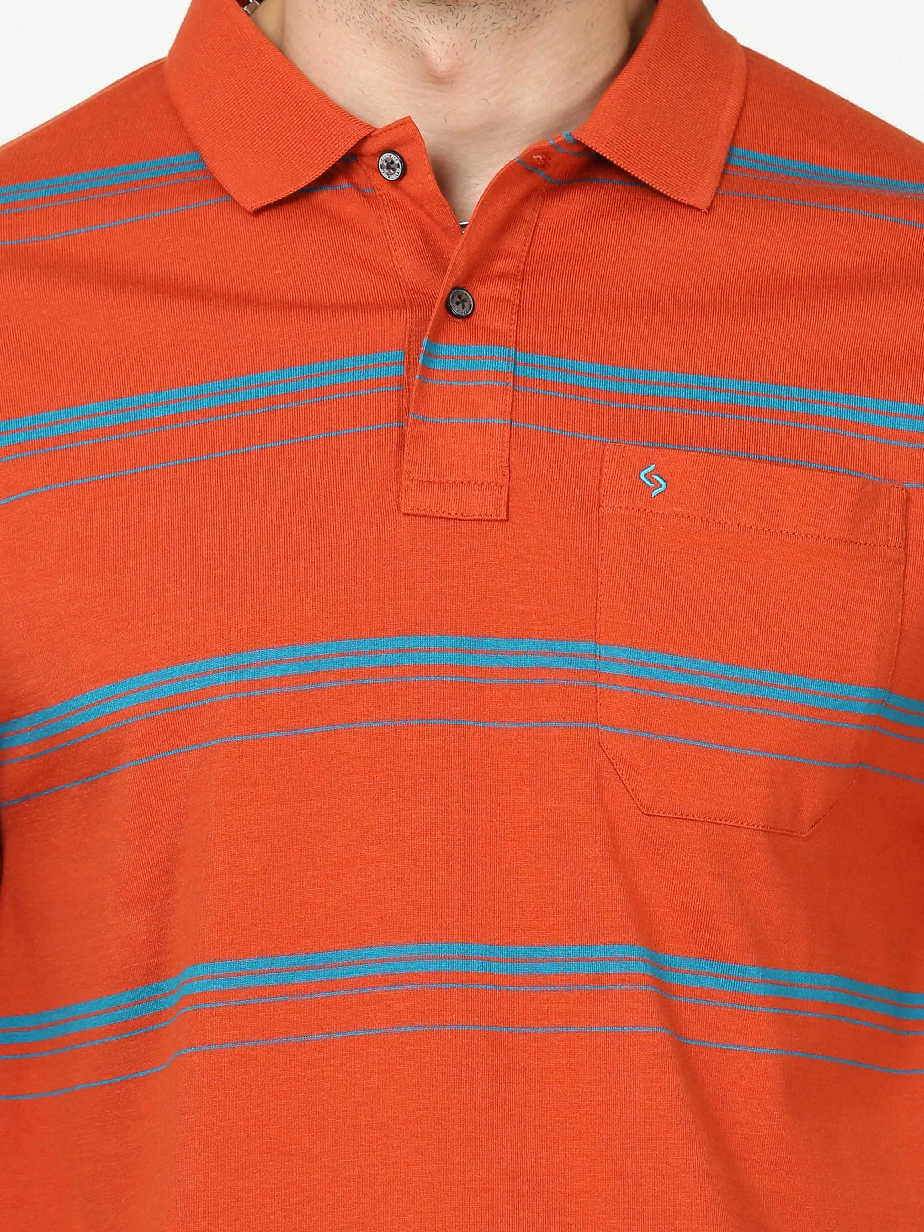 Classic Polo Mens Cotton Half Sleeves Striped Authentic Fit Polo Neck Red Color T-Shirt | Avon - 539 B Af P