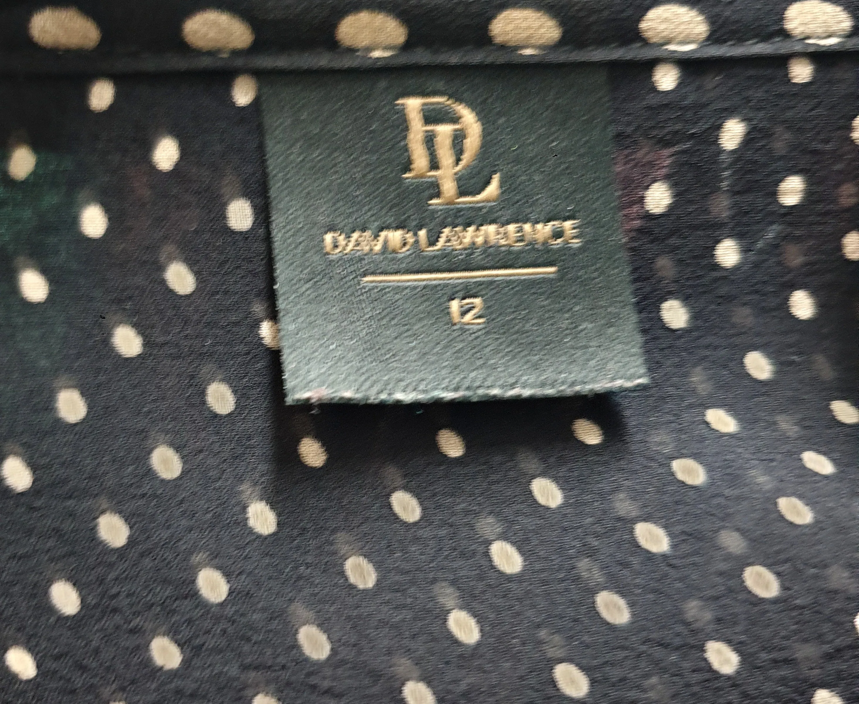David Lawrence pure silk semi-sheer black polka dot shirt size 12