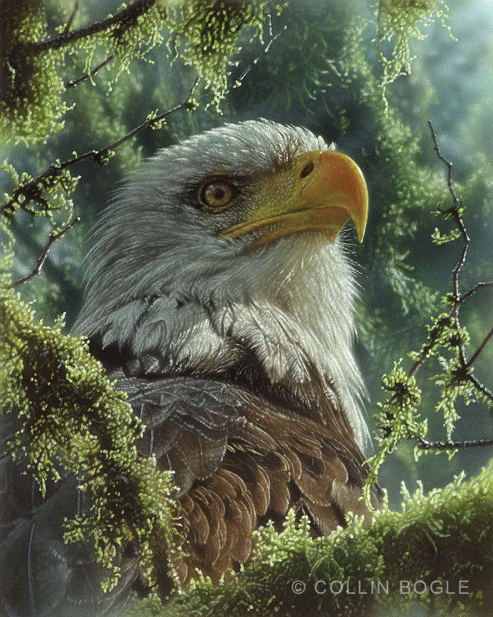High and Mighty Original Painting