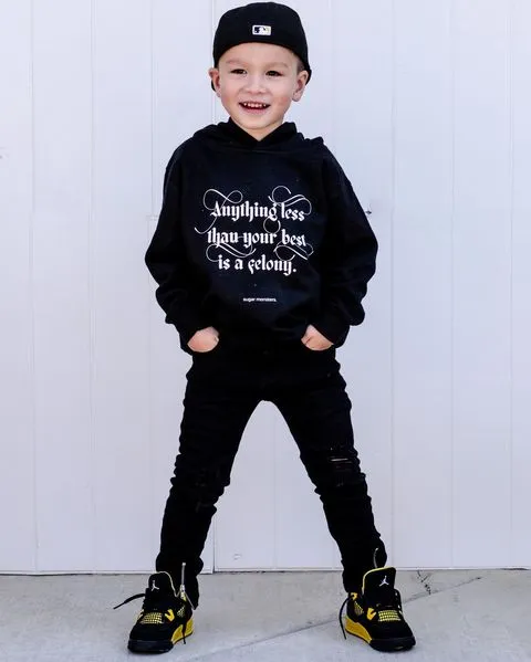 No Felonies | Toddler Hoodie