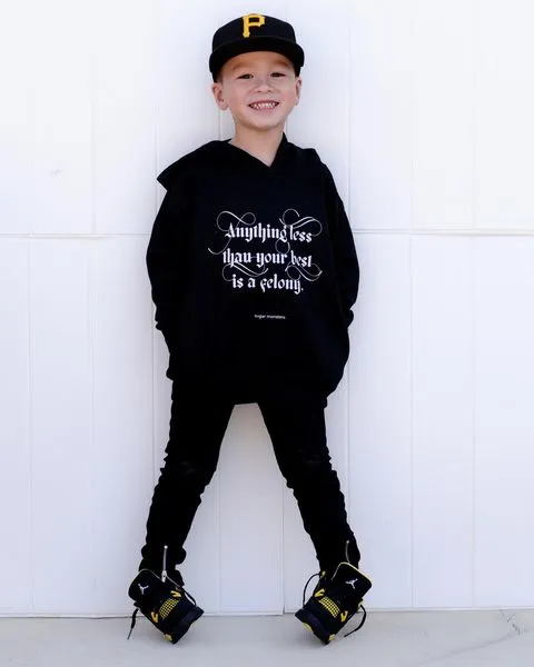 No Felonies | Toddler Hoodie