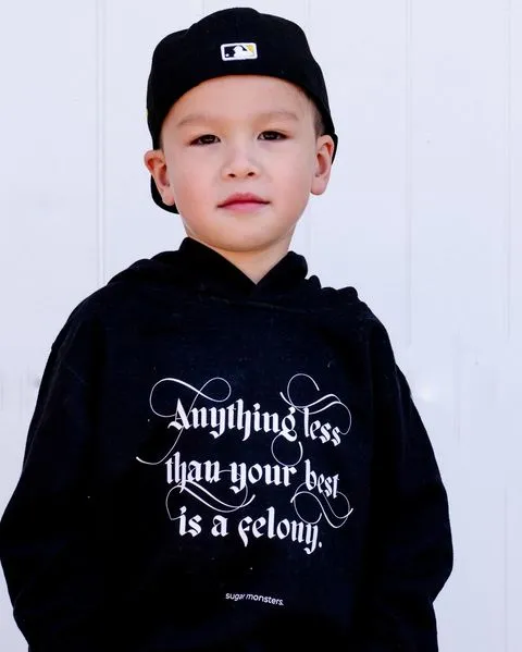 No Felonies | Toddler Hoodie