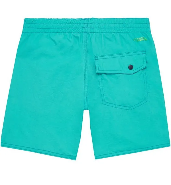 O'Neill Boys Vert Boardshorts