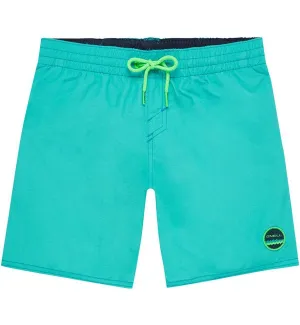 O'Neill Boys Vert Boardshorts