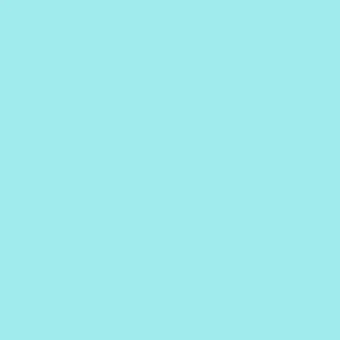 Organic Baby/Toddler Blanket - Reversible- Ocean Life