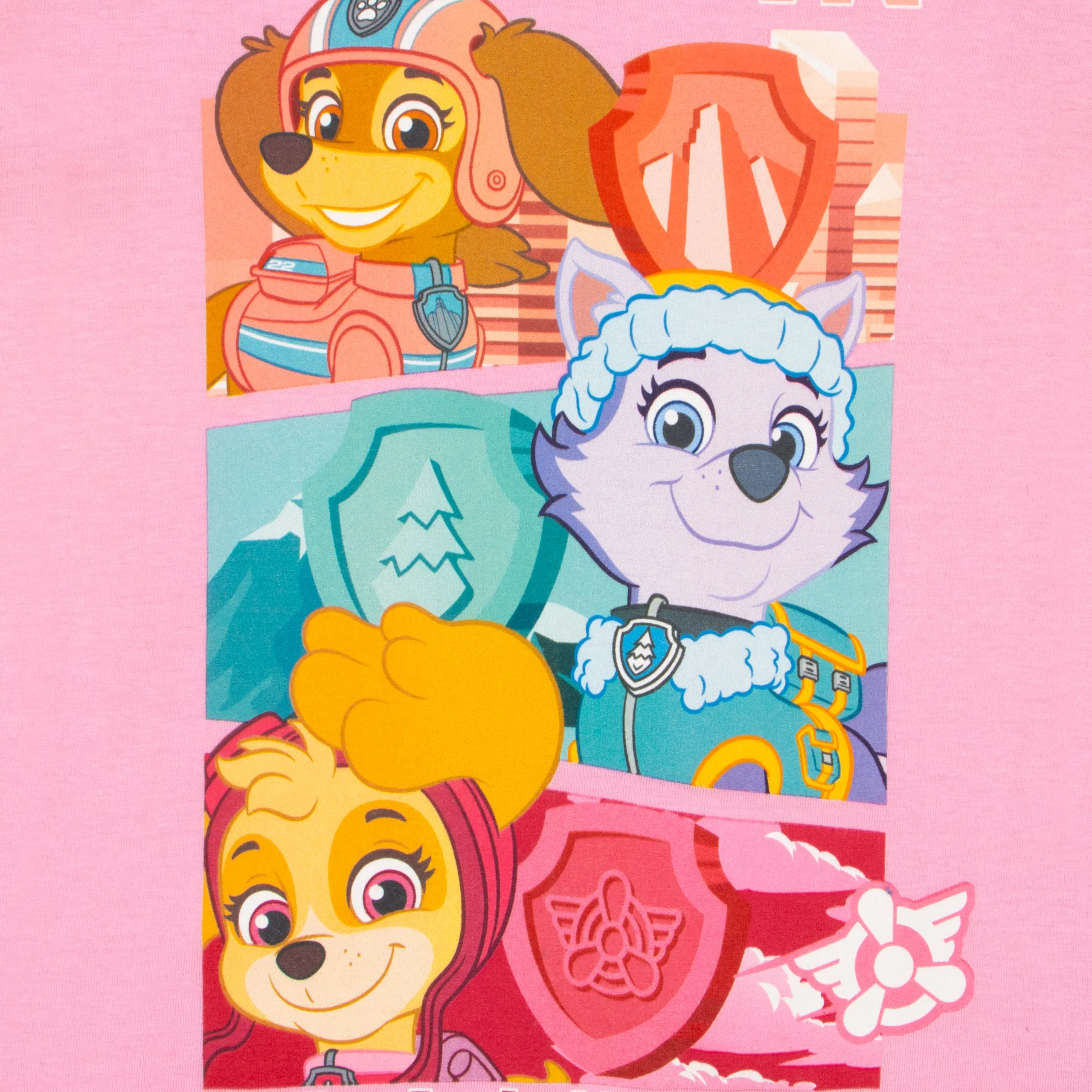 PAW Patrol T-Shirt - Hero In Training