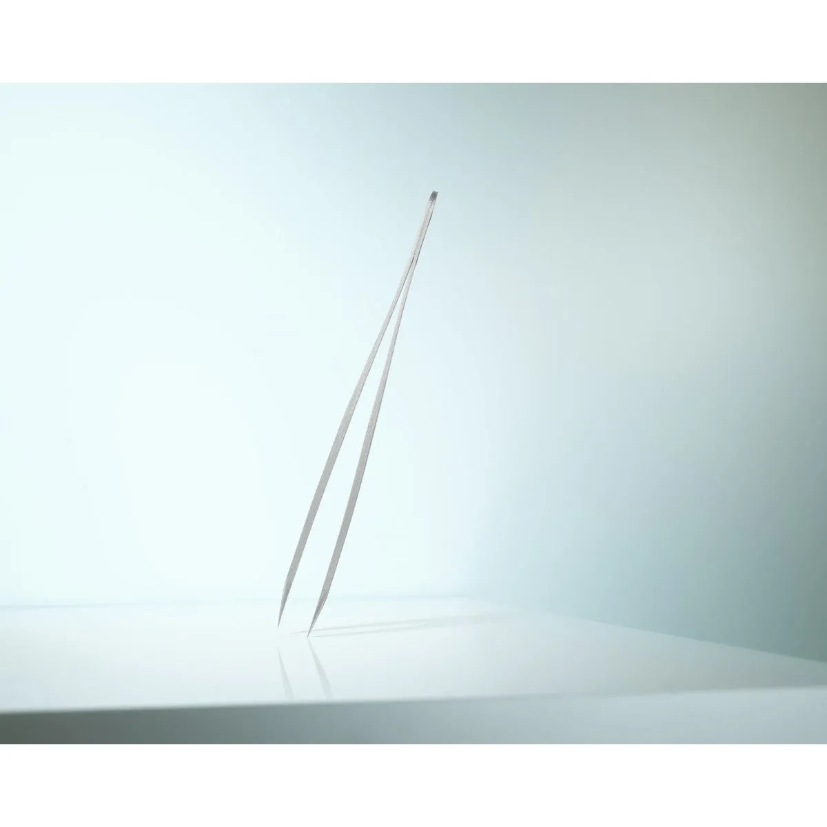 Rubis Tweezers Pointer Ion