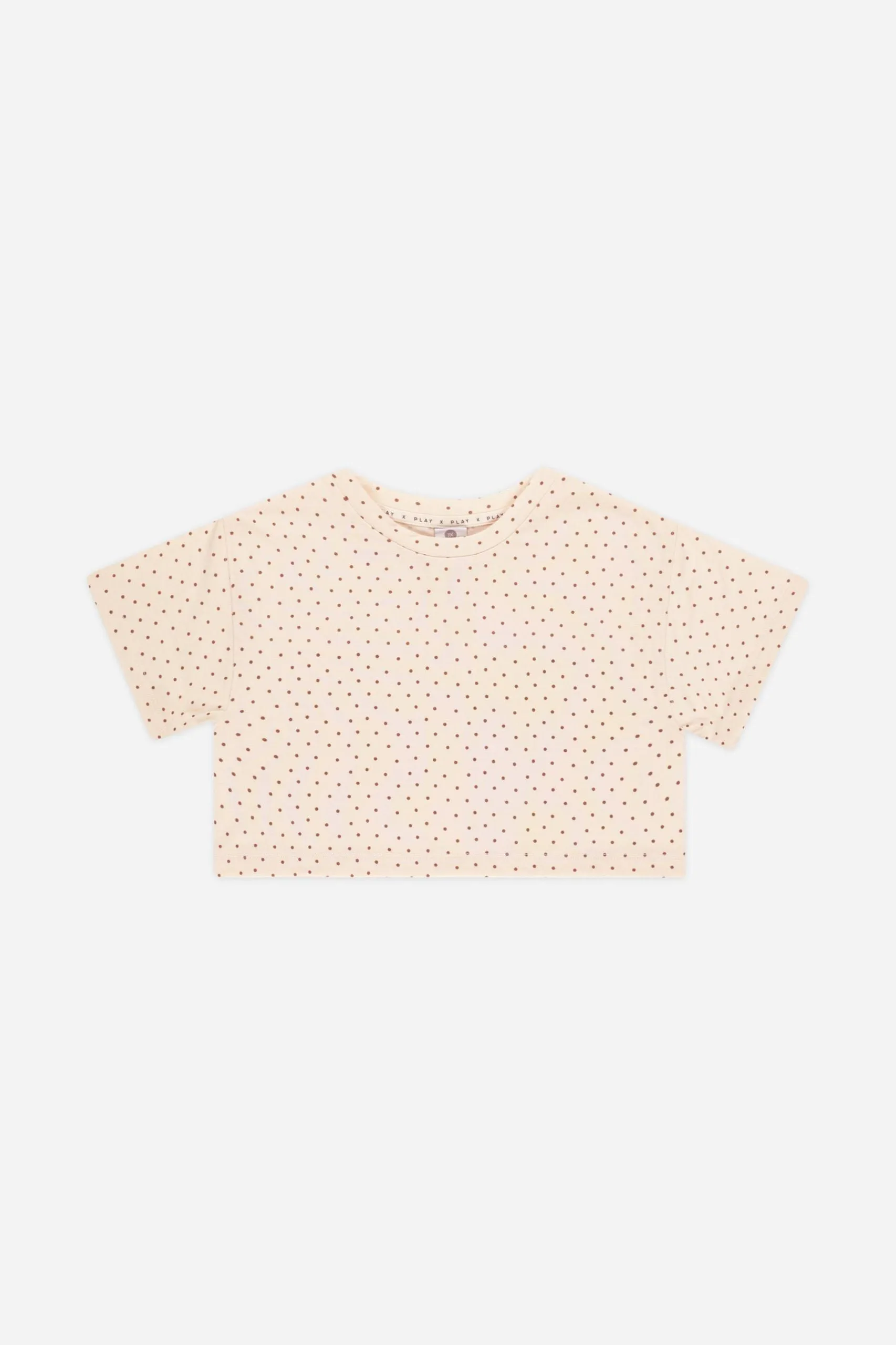 Tech Crop Tee | Shell