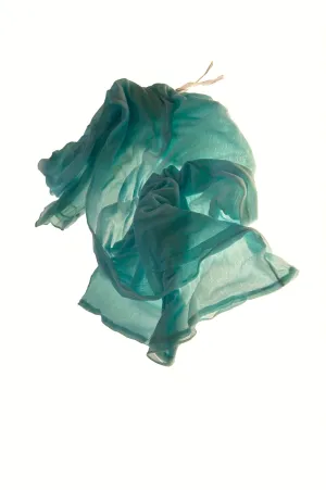 Vestiges (1)